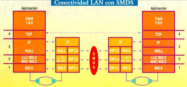 Esquema ISO de conectividad LAN-SMDS